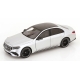 1:18 Mercedes E Class W214 (2023)